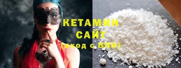 прущие грибы Ельня