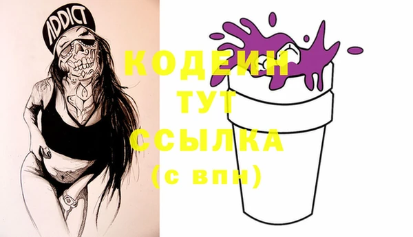 СК Елабуга