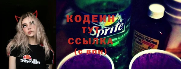 прущие грибы Ельня