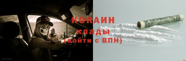 прущие грибы Ельня