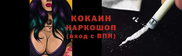 прущие грибы Ельня