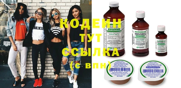 прущие грибы Ельня