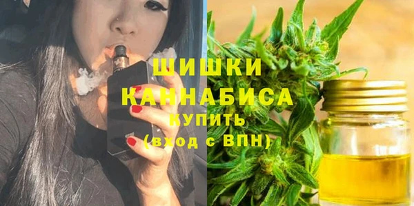 прущие грибы Ельня