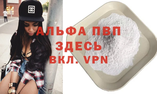 прущие грибы Ельня