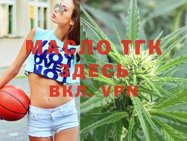 прущие грибы Ельня