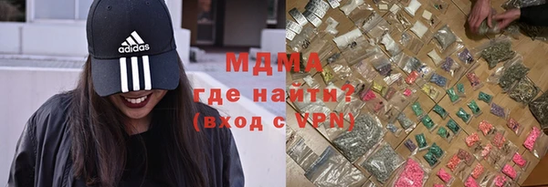 прущие грибы Ельня