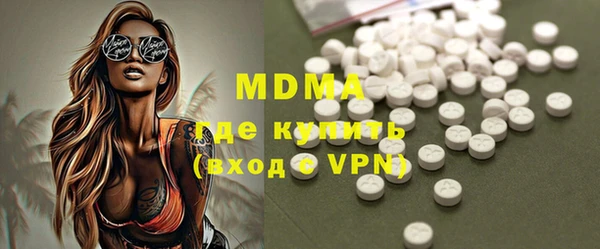 прущие грибы Ельня